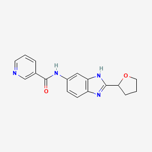 molecular formula C17H16N4O2 B15104683 N-[2-(tetrahydrofuran-2-yl)-1H-benzimidazol-5-yl]pyridine-3-carboxamide 