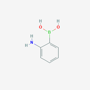 molecular formula C6H8BNO2 B151050 2-氨基苯硼酸 CAS No. 5570-18-3