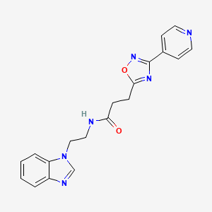 molecular formula C19H18N6O2 B15105098 N-[2-(1H-benzimidazol-1-yl)ethyl]-3-[3-(pyridin-4-yl)-1,2,4-oxadiazol-5-yl]propanamide 