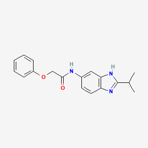 molecular formula C18H19N3O2 B15106417 2-phenoxy-N-[2-(propan-2-yl)-1H-benzimidazol-5-yl]acetamide 