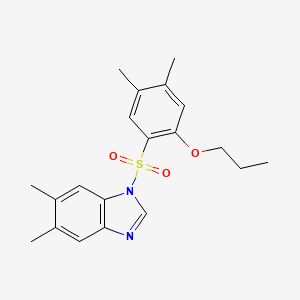 molecular formula C20H24N2O3S B15108467 1-(4,5-dimethyl-2-propoxybenzenesulfonyl)-5,6-dimethyl-1H-1,3-benzodiazole 