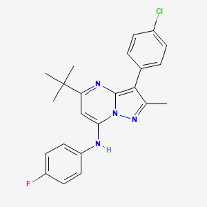 molecular formula C23H22ClFN4 B15108605 5-tert-butyl-3-(4-chlorophenyl)-N-(4-fluorophenyl)-2-methylpyrazolo[1,5-a]pyrimidin-7-amine 