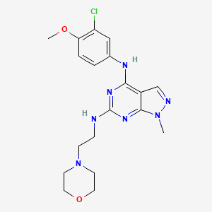 molecular formula C19H24ClN7O2 B15109889 N~4~-(3-chloro-4-methoxyphenyl)-1-methyl-N~6~-[2-(morpholin-4-yl)ethyl]-1H-pyrazolo[3,4-d]pyrimidine-4,6-diamine 