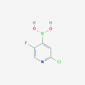 molecular formula C5H4BClFNO2 B151107 2-氯-5-氟吡啶-4-硼酸 CAS No. 951677-47-7