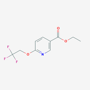 molecular formula C10H10F3NO3 B1511090 Ethyl 6-(2,2,2-trifluoroethoxy)nicotinate CAS No. 1263276-73-8