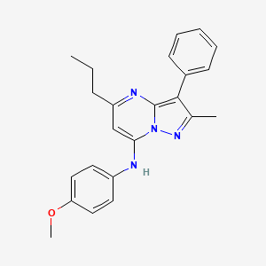 molecular formula C23H24N4O B15111338 N-(4-methoxyphenyl)-2-methyl-3-phenyl-5-propylpyrazolo[1,5-a]pyrimidin-7-amine 