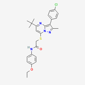 2-{[5-tert-butyl-3-(4-chlorophenyl)-2-methylpyrazolo[1,5-a]pyrimidin-7-yl]sulfanyl}-N-(4-ethoxyphenyl)acetamide