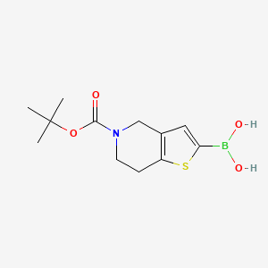 molecular formula C12H18BNO4S B1511148 (5-(tert-Butoxycarbonyl)-4,5,6,7-tetrahydrothieno[3,2-c]pyridin-2-yl)boronic acid CAS No. 1078151-34-4