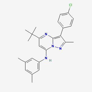 molecular formula C25H27ClN4 B15111755 5-tert-butyl-3-(4-chlorophenyl)-N-(3,5-dimethylphenyl)-2-methylpyrazolo[1,5-a]pyrimidin-7-amine 