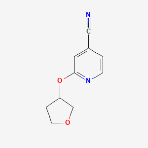 2-(Oxolan-3-yloxy)pyridine-4-carbonitrile