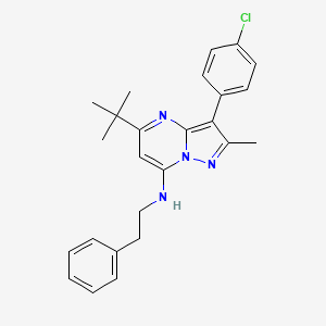 molecular formula C25H27ClN4 B15112840 5-tert-butyl-3-(4-chlorophenyl)-2-methyl-N-(2-phenylethyl)pyrazolo[1,5-a]pyrimidin-7-amine 