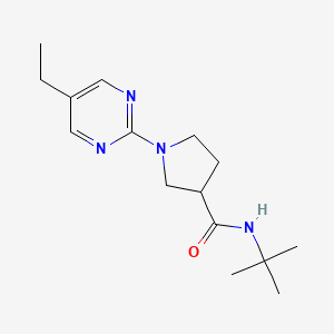 N-tert-butyl-1-(5-ethylpyrimidin-2-yl)pyrrolidine-3-carboxamide