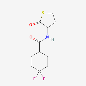 molecular formula C11H15F2NO2S B15113684 4,4-difluoro-N-(2-oxothiolan-3-yl)cyclohexane-1-carboxamide 