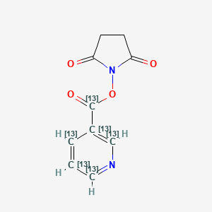 molecular formula C10H8N2O4 B1511440 (2,5-Dioxopyrrolidin-1-yl) (2,3,4,5,6-13C5)pyridine-3-carboxylate CAS No. 1173023-69-2
