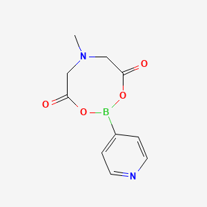 molecular formula C10H11BN2O4 B1511446 6-Methyl-2-(pyridin-4-yl)-1,3,6,2-dioxazaborocane-4,8-dione CAS No. 1104636-72-7