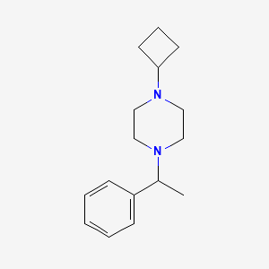 molecular formula C16H24N2 B15115616 1-Cyclobutyl-4-(1-phenylethyl)piperazine 