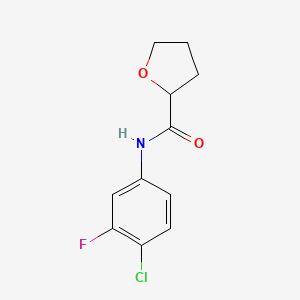 molecular formula C11H11ClFNO2 B15115619 N-(4-chloro-3-fluorophenyl)oxolane-2-carboxamide 