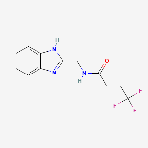 molecular formula C12H12F3N3O B15116446 N-[(1H-1,3-benzodiazol-2-yl)methyl]-4,4,4-trifluorobutanamide 