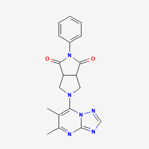 molecular formula C19H18N6O2 B15117138 5-{5,6-Dimethyl-[1,2,4]triazolo[1,5-a]pyrimidin-7-yl}-2-phenyl-octahydropyrrolo[3,4-c]pyrrole-1,3-dione 