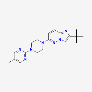 molecular formula C19H25N7 B15117287 2-(4-{2-Tert-butylimidazo[1,2-b]pyridazin-6-yl}piperazin-1-yl)-5-methylpyrimidine 