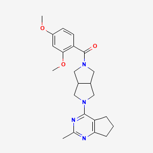 molecular formula C23H28N4O3 B15117643 2-(2,4-dimethoxybenzoyl)-5-{2-methyl-5H,6H,7H-cyclopenta[d]pyrimidin-4-yl}-octahydropyrrolo[3,4-c]pyrrole 