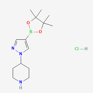 molecular formula C14H25BClN3O2 B1511796 4-(4-(4,4,5,5-tetramethyl-1,3,2-dioxaborolan-2-yl)-1H-pyrazol-1-yl)piperidine hydrochloride CAS No. 1175273-62-7