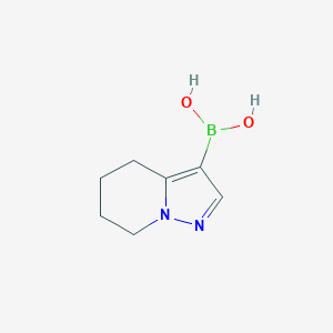 molecular formula C7H11BN2O2 B1511883 (4,5,6,7-Tetrahydropyrazolo[1,5-a]pyridin-3-yl)boronic acid 