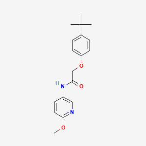 2-(4-tert-butylphenoxy)-N-(6-methoxypyridin-3-yl)acetamide