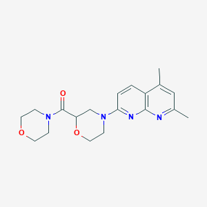 molecular formula C19H24N4O3 B15119711 2,4-Dimethyl-7-[2-(morpholine-4-carbonyl)morpholin-4-yl]-1,8-naphthyridine 