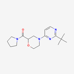 4-(2-Tert-butylpyrimidin-4-yl)-2-(pyrrolidine-1-carbonyl)morpholine