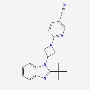 6-[3-(2-tert-butyl-1H-1,3-benzodiazol-1-yl)azetidin-1-yl]pyridine-3-carbonitrile