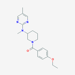 molecular formula C20H26N4O2 B15120353 N-[1-(4-ethoxybenzoyl)piperidin-3-yl]-N,5-dimethylpyrimidin-2-amine 