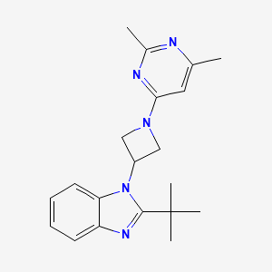 2-tert-butyl-1-[1-(2,6-dimethylpyrimidin-4-yl)azetidin-3-yl]-1H-1,3-benzodiazole