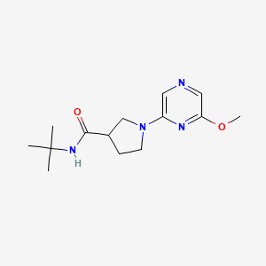 molecular formula C14H22N4O2 B15121028 N-tert-butyl-1-(6-methoxypyrazin-2-yl)pyrrolidine-3-carboxamide 