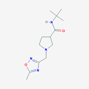 molecular formula C13H22N4O2 B15121096 N-tert-butyl-1-[(5-methyl-1,2,4-oxadiazol-3-yl)methyl]pyrrolidine-3-carboxamide 