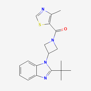 molecular formula C19H22N4OS B15121822 2-tert-butyl-1-[1-(4-methyl-1,3-thiazole-5-carbonyl)azetidin-3-yl]-1H-1,3-benzodiazole 