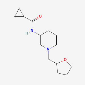 N-{1-[(oxolan-2-yl)methyl]piperidin-3-yl}cyclopropanecarboxamide