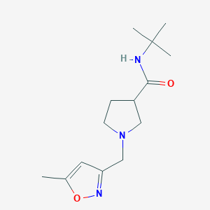 N-tert-butyl-1-[(5-methyl-1,2-oxazol-3-yl)methyl]pyrrolidine-3-carboxamide