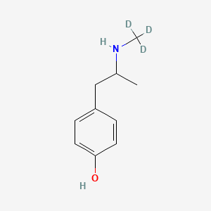 molecular formula C10H15NO B1512291 4-{2-[(~2~H_3_)Methylamino]propyl}phenol CAS No. 1286498-19-8