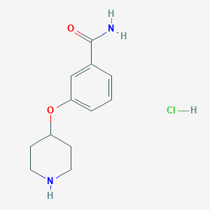 molecular formula C12H17ClN2O2 B1512338 3-(Piperidin-4-yloxy)benzamide hydrochloride CAS No. 906744-11-4