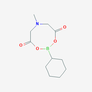 molecular formula C11H18BNO4 B1512836 2-Cyclohexyl-6-methyl-1,3,6,2-dioxazaborocane-4,8-dione CAS No. 1104637-39-9