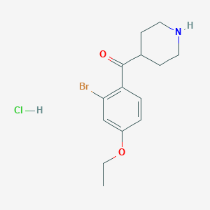 molecular formula C14H19BrClNO2 B15128571 4-(2-Bromo-4-ethoxybenzoyl)piperidine hydrochloride 