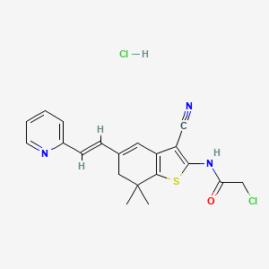 molecular formula C20H19Cl2N3OS B15128736 2-chloro-N-{3-cyano-7,7-dimethyl-5-[2-pyridin-2-ylvinyl]-6,7-dihydro-1-benzothien-2-yl}acetamide hydrochloride 