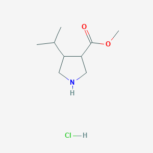 molecular formula C9H18ClNO2 B15128969 Methyl 4-(propan-2-yl)pyrrolidine-3-carboxylate hydrochloride 