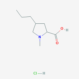 molecular formula C9H18ClNO2 B15129239 1-Methyl-4-propylpyrrolidine-2-carboxylic acid;hydrochloride 