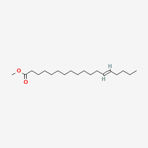 molecular formula C19H36O2 B15130120 13-Octadecenoic acid, methyl ester 