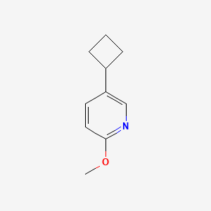 molecular formula C10H13NO B1513043 5-Cyclobutyl-2-methoxypyridine 