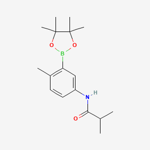 molecular formula C17H26BNO3 B15132220 N-(4-methyl-3-(4,4,5,5-tetramethyl-1,3,2-dioxaborolan-2-yl)phenyl)isobutyramide 