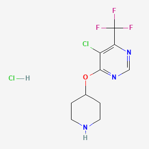 5-Chloro-4-(piperidin-4-yloxy)-6-(trifluoromethyl)pyrimidine hydrochloride