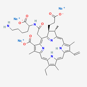 molecular formula C40H45N6Na3O7 B15132509 CHlorin e6 monolysine amide trisodium salt 